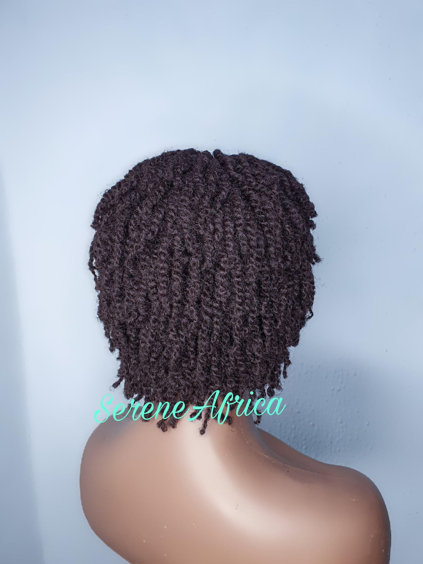 Kinky Braid Wig, Braided Wig, Twist Braid Wig, Short Braid Wig, Wigs For Black Women, Braid With Bangs